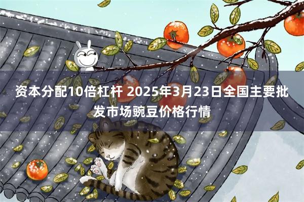 资本分配10倍杠杆 2025年3月23日全国主要批发市场豌豆价格行情