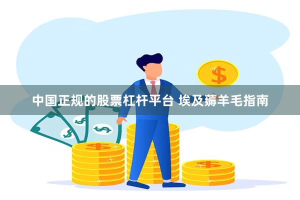 中国正规的股票杠杆平台 埃及薅羊毛指南