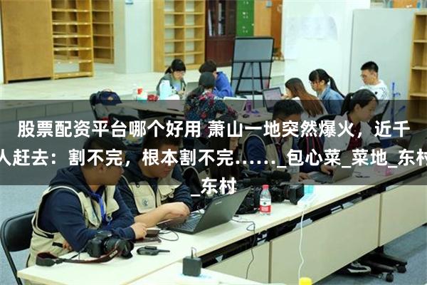 股票配资平台哪个好用 萧山一地突然爆火，近千人赶去：割不完，根本割不完……_包心菜_菜地_东村