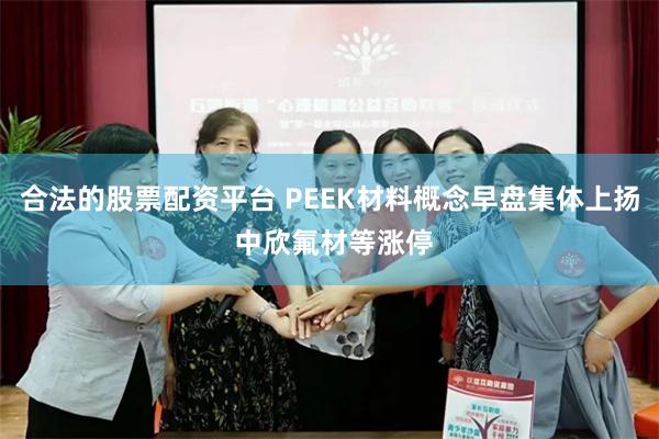 合法的股票配资平台 PEEK材料概念早盘集体上扬 中欣氟材等涨停