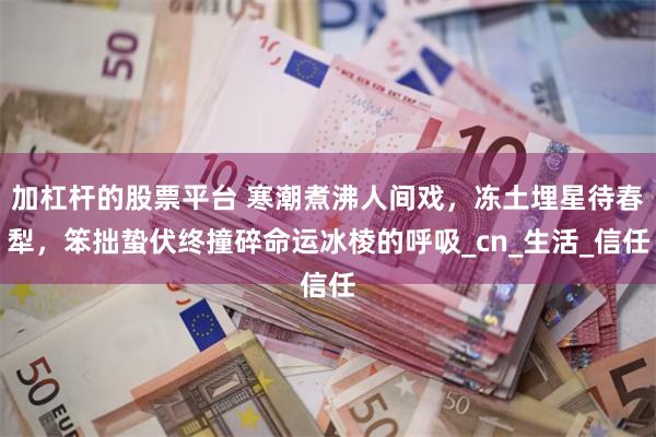 加杠杆的股票平台 寒潮煮沸人间戏，冻土埋星待春犁，笨拙蛰伏终撞碎命运冰棱的呼吸_cn_生活_信任