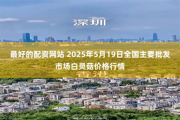 最好的配资网站 2025年5月19日全国主要批发市场白灵菇价格行情