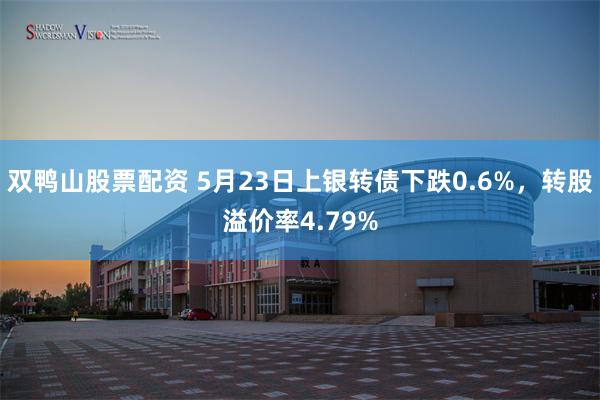 双鸭山股票配资 5月23日上银转债下跌0.6%，转股溢价率4.79%