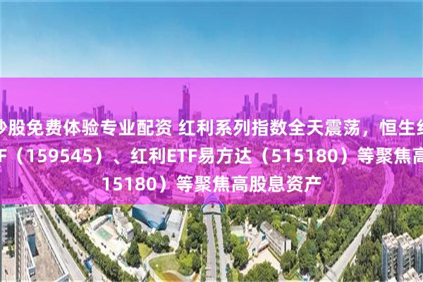 炒股免费体验专业配资 红利系列指数全天震荡，恒生红利低波ETF（159545）、红利ETF易方达（515180）等聚焦高股息资产