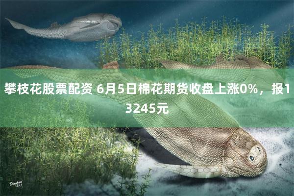 攀枝花股票配资 6月5日棉花期货收盘上涨0%，报13245元