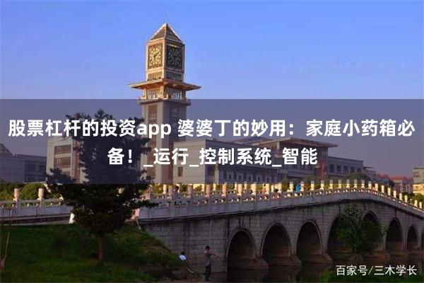 股票杠杆的投资app 婆婆丁的妙用：家庭小药箱必备！_运行_控制系统_智能