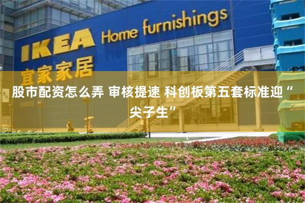 股市配资怎么弄 审核提速 科创板第五套标准迎“尖子生”
