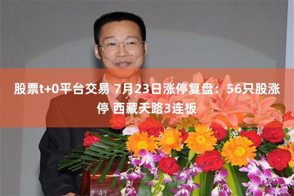股票t+0平台交易 7月23日涨停复盘：56只股涨停 西藏天路3连板