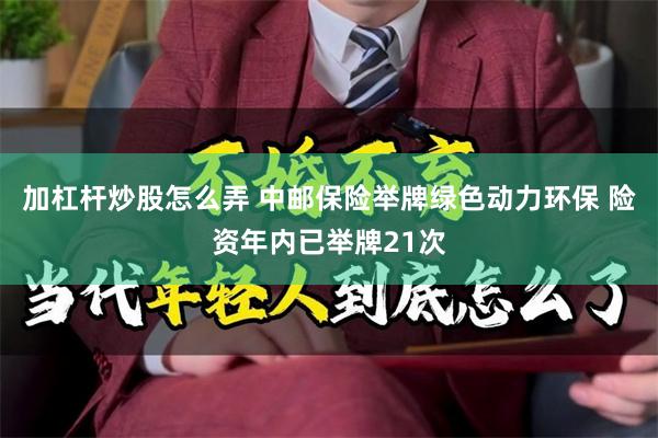 加杠杆炒股怎么弄 中邮保险举牌绿色动力环保 险资年内已举牌21次