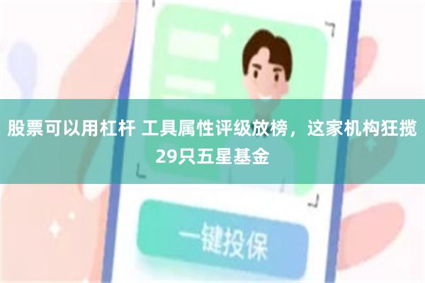 股票可以用杠杆 工具属性评级放榜，这家机构狂揽29只五星基金