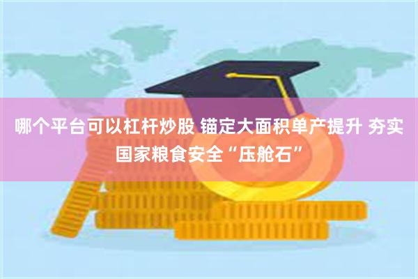哪个平台可以杠杆炒股 锚定大面积单产提升 夯实国家粮食安全“压舱石”
