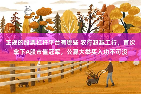 正规的股票杠杆平台有哪些 农行超越工行，首次拿下A股市值冠军，公募大举买入功不可没