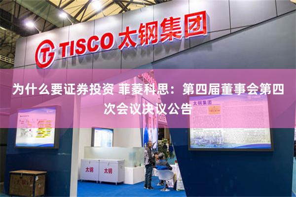 为什么要证券投资 菲菱科思：第四届董事会第四次会议决议公告