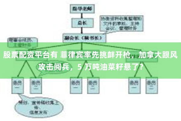 股票配资平台有 菲律宾率先挑衅开枪，加拿大跟风攻击阅兵，5 万吨油菜籽悬了？